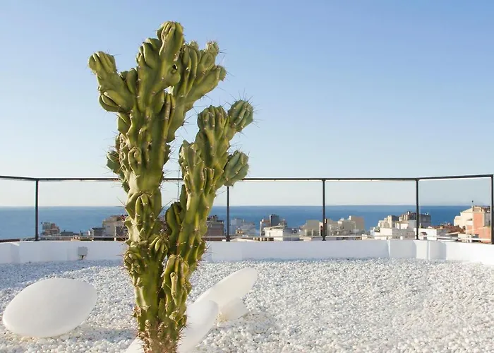 Hotel Alegria Plaza Paris & 4 Sup Lloret de Mar